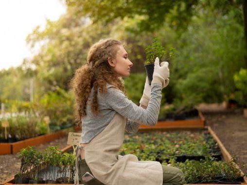 vegetable-gardening-tips-for-healthy-homegrown-produce