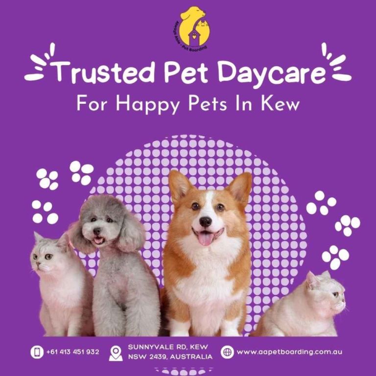 trusted-pet-daycare-for-happy-pets-in-kew-big-0