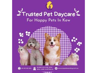 trusted-pet-daycare-for-happy-pets-in-kew-small-0