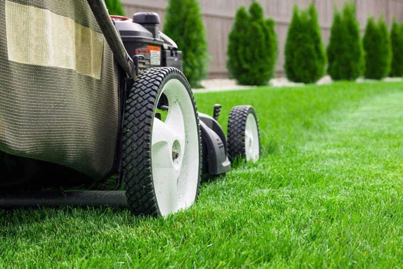 lawn-mowing-brisbane-big-0
