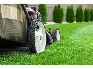 lawn-mowing-brisbane-small-0