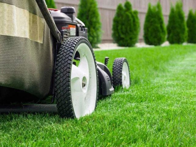 lawn-mowing-brisbane