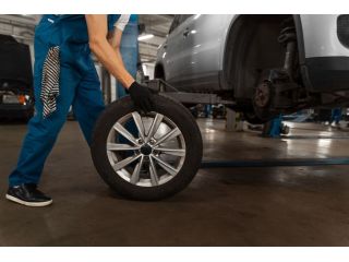alignment-service-mitchell-small-2