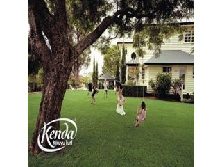 best-kenda-kikuyu-lawn-turf-grass-solution-small-0