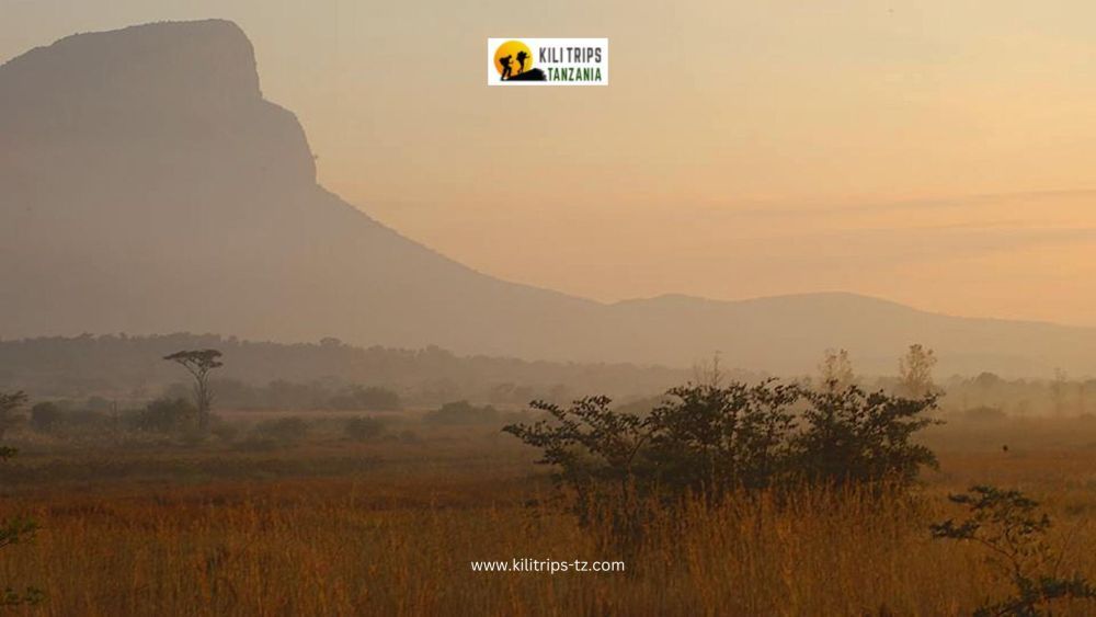 tours-and-safari-in-tanzania-wildlife-adventures-with-kilitrips-big-0