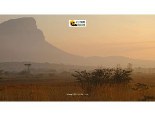 tours-and-safari-in-tanzania-wildlife-adventures-with-kilitrips-small-0