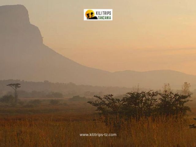 tours-and-safari-in-tanzania-wildlife-adventures-with-kilitrips