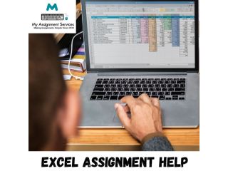 excel-assignment-help-expert-support-for-accurate-small-0