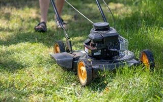 best-service-for-lawn-mowing-in-deception-bay-big-0