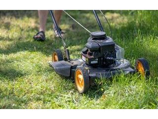 best-service-for-lawn-mowing-in-deception-bay-small-0