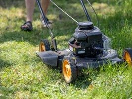 best-service-for-lawn-mowing-in-deception-bay