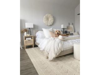 elevate-your-homes-aesthetic-with-a-premium-white-rug-small-0