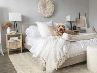elevate-your-homes-aesthetic-with-a-premium-white-rug