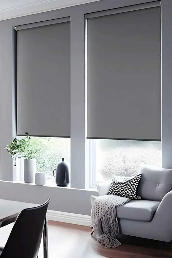 custom-roller-blinds-in-adelaide-for-stylish-homes-big-0