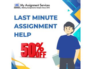 last-minute-assignment-help-get-expert-assistance-with-50-off-small-0