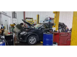 vehicle-inspection-mona-vale-british-swedish-motors-small-0