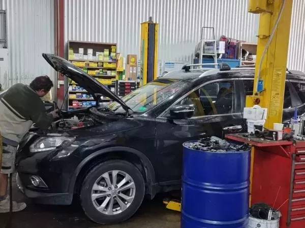 vehicle-inspection-mona-vale-british-swedish-motors