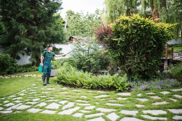 ignoring-your-yard-now-will-cost-you-thousands-later-big-3