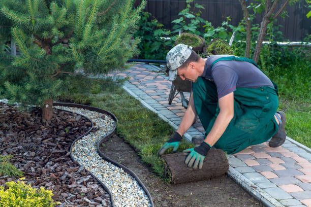 ignoring-your-yard-now-will-cost-you-thousands-later-big-4