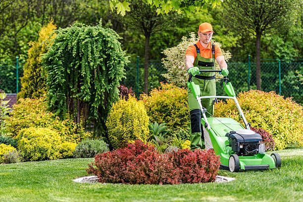 ignoring-your-yard-now-will-cost-you-thousands-later-big-1