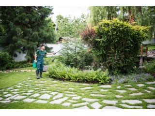 ignoring-your-yard-now-will-cost-you-thousands-later-small-3