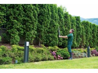 ignoring-your-yard-now-will-cost-you-thousands-later-small-2