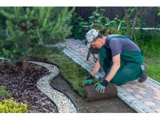 ignoring-your-yard-now-will-cost-you-thousands-later-small-4
