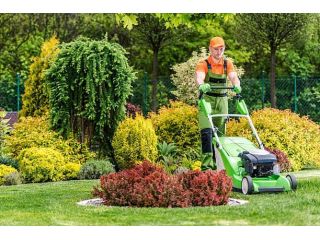 ignoring-your-yard-now-will-cost-you-thousands-later-small-1