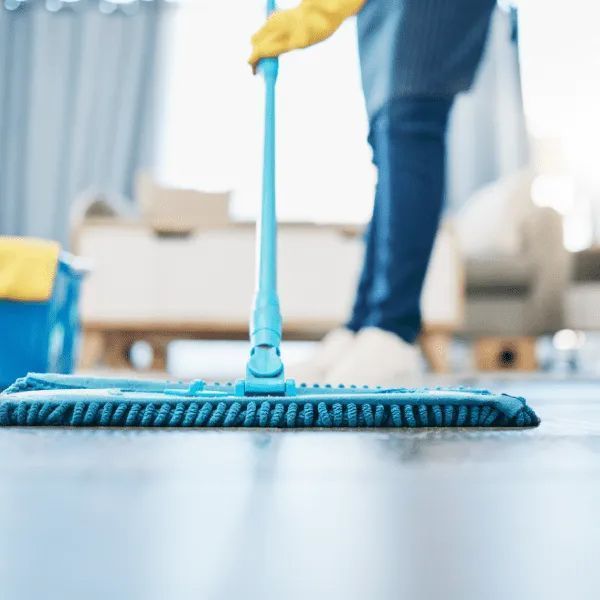 hire-professional-regular-house-cleaners-today-big-2