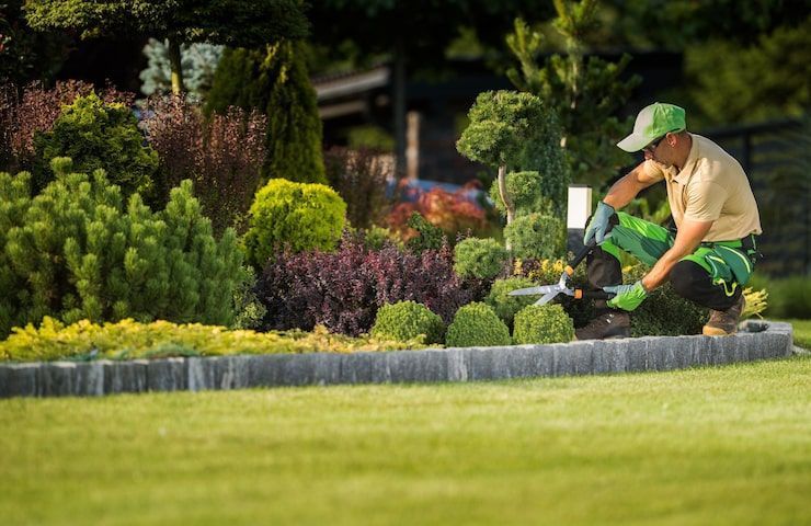 transform-your-yard-with-landscaping-services-in-hallam-big-0