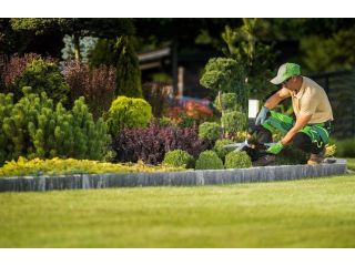 transform-your-yard-with-landscaping-services-in-hallam-small-0