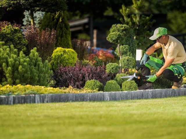 transform-your-yard-with-landscaping-services-in-hallam