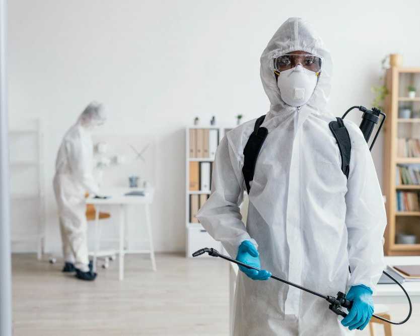 pest-control-pimpama-reliable-solutions-for-homes-businesses