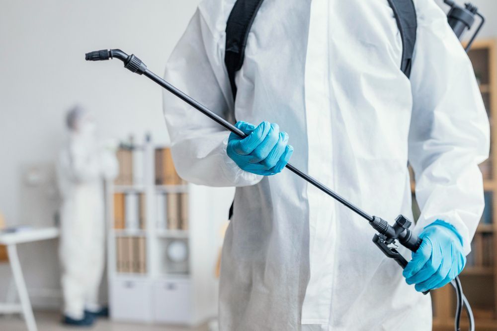 pest-control-oxenford-reliable-solutions-for-homes-businesses-big-0