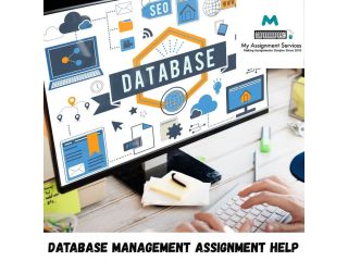 database-management-assignment-help-expert-support-small-0