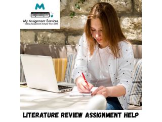 literature-review-assignment-help-expert-support-small-0