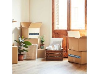 moving-furniture-made-easy-in-canada-safe-professional-movers-small-0