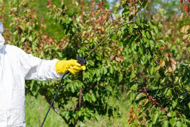 arboricultural-disease-control-specialists-big-0