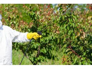 arboricultural-disease-control-specialists-small-0