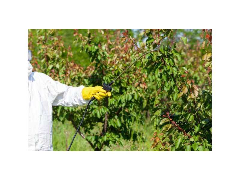 arboricultural-disease-control-specialists-small-0