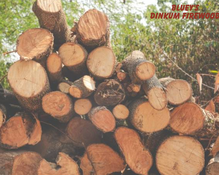reliable-firewood-delivery-in-shellharbour