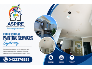 aspire-painting-services-pty-ltd-sydney-painters-small-0