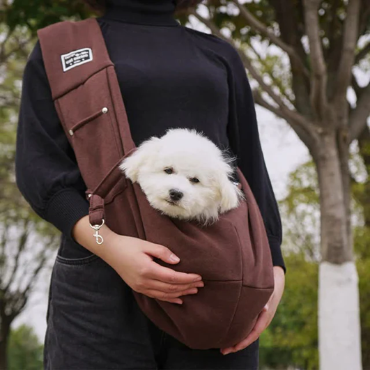 improve-pets-comfort-level-with-pet-care-products-big-0