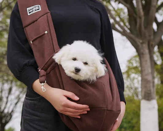 improve-pets-comfort-level-with-pet-care-products