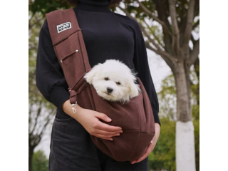 improve-pets-comfort-level-with-pet-care-products-small-0