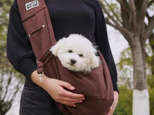 improve-pets-comfort-level-with-pet-care-products