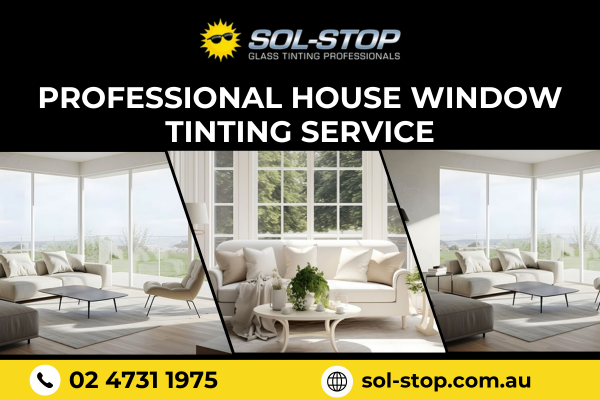 professional-house-window-tinting-service-big-0