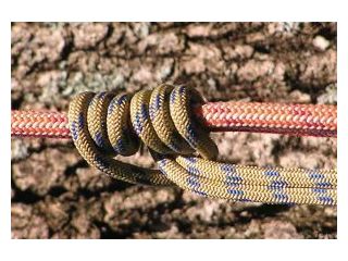 affordable-tree-services-sydney-small-0