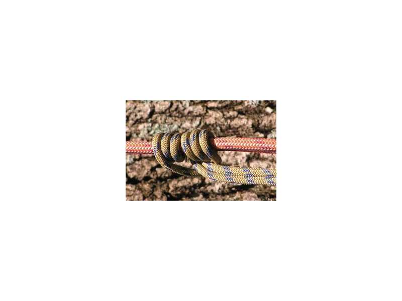 affordable-tree-services-sydney-small-0