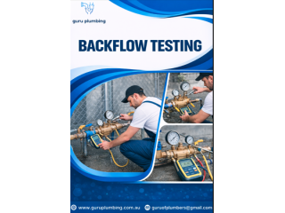 professional-backflow-testing-services-in-port-hedland-small-0